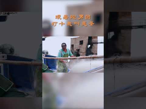 跟着跑男团打卡泉州美景 #奔跑吧 #奔跑吧14 thumbnail