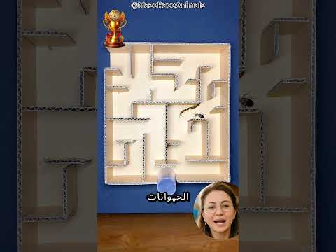 سباق الحشرات! thumbnail