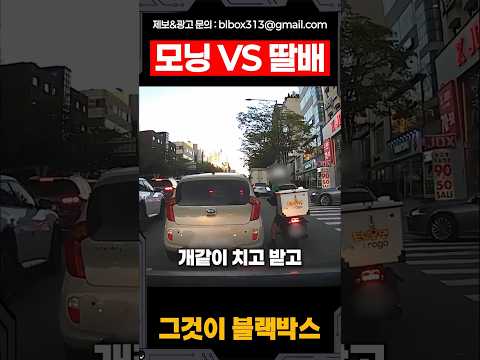 모닝 VS 딸배 thumbnail
