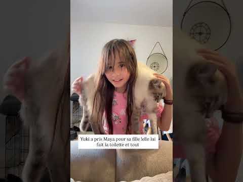 Yuki a pris Maya pour sa fille ! elle lui fait la toilette et tout: #short #shorts #miconrachel thumbnail
