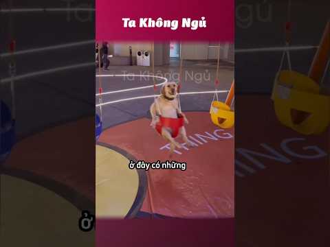 Mấy cái đứa dễ thương này 🥰 #takhongngu thumbnail