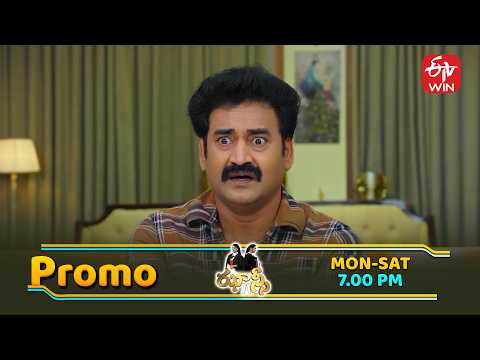 Jhansi Special Promo | Mon - Sat 7:00pm | ETV Telugu thumbnail