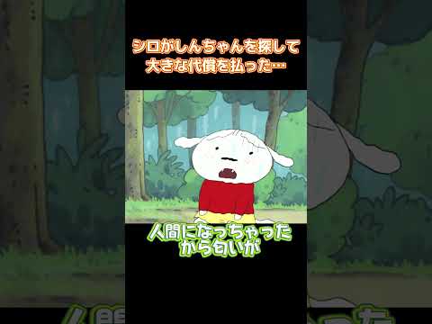 シロがしんちゃんを探して大きな代償を払った… #コントチャンネル #アニメ  #面白い  #anime  #コント #funny thumbnail