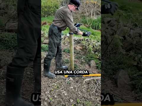 La astuzzia  nel rimuovere un palo 🪵 thumbnail