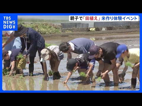「楽しかった！」子どもたちが泥まみれで田植え体験　神奈川・小田原市｜TBS NEWS DIG thumbnail