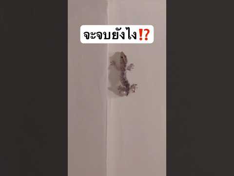 เรื่องนี้จะจบยังไง? ลุ้นมากกกก #jamsai #jamsaijs #แจ่มใส thumbnail