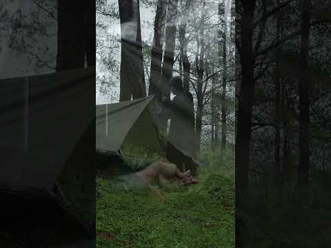 SOLO CAMPING IN HEAVY RAIN — NO WORDS NEEDED  #camping #rain #shorts thumbnail