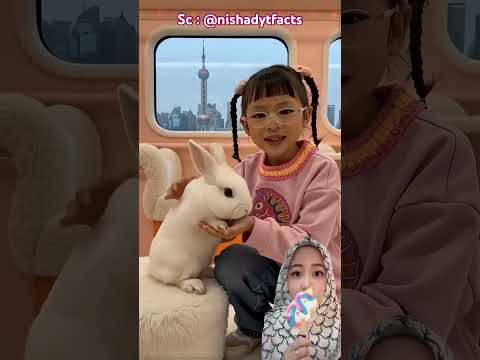 Kereta Kelinci Putih Cantik 🐇😍 @nishadytfacts thumbnail