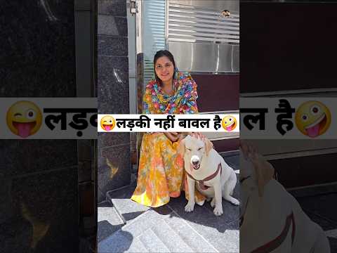 लड़की नहीं बावल है 😜🤪 Comedy Shorts #comedy #funny #shorts #trending #youtubeshorts thumbnail