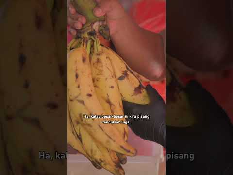 Beza Pisang Abu vs Pisang Tanduk thumbnail