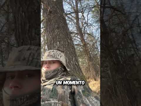 Se ENCONTRÓ un LINCE mientras andaba por EL BOSQUE y no CREERÁS lo que OCURRIÓ thumbnail
