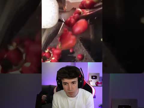 Esta Maquina Detecta Los Tomates Malos 🍅 thumbnail