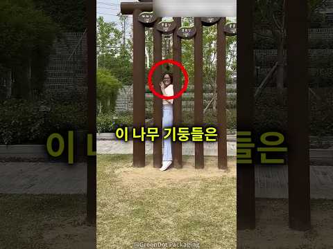 일본에 대한 반전있는 것들 thumbnail