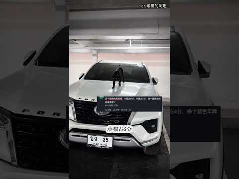 这才是最顶级的车模！不接受反驳！#小猫#车模#汽车 thumbnail