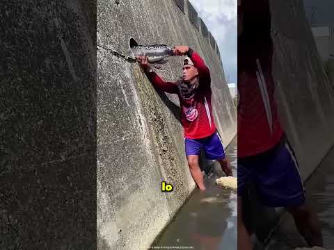 Este Chico Cometió El Error De Agarrar A Este Pez 😨🐟 thumbnail