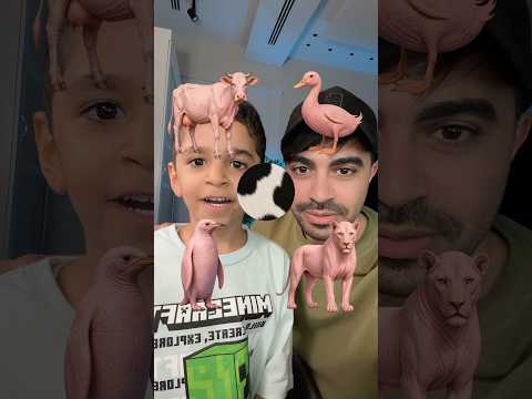 تحدي تلوين الحيوانات مع حمودي 😂👌🏻 thumbnail