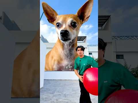 Mi perro no para de crecer!😱🐕 thumbnail