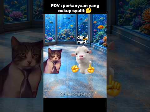 kalian pasti kesulitan menjawab soalnya 🤔 #memes #cat #quiz #funny #trending thumbnail