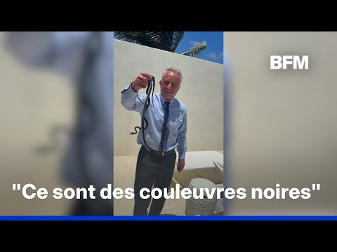 Le ministre de la Santé américain Robert F. Kennedy Jr. attrape deux serpents et se fait mordre thumbnail