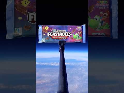 I Sent Feastables to Space thumbnail