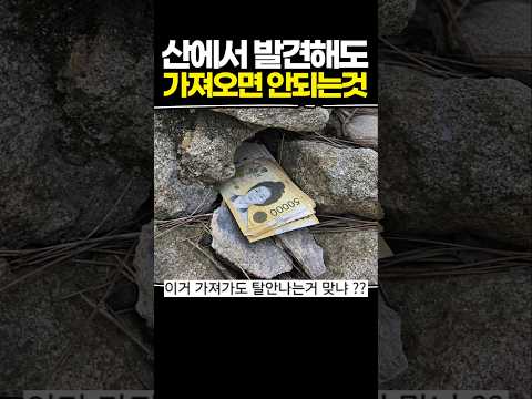 산에서 발견해도 가져오면 안되는 것 thumbnail