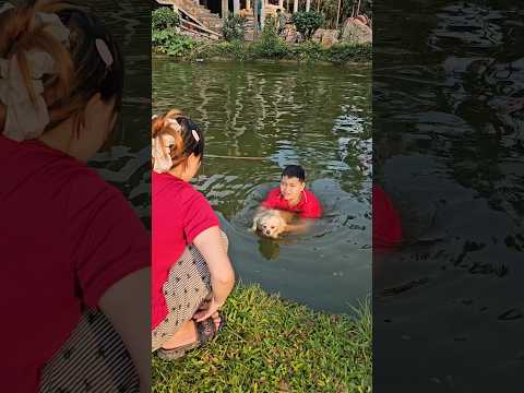 Giải cứu chưa chó nhỏ thumbnail