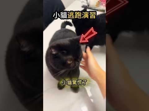 躲貓貓大戰?差點就看穿? thumbnail