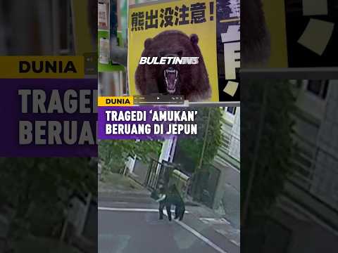 DUNIA | Tragedi Berdarah, Ancaman Amukan Beruang Di Jepun thumbnail