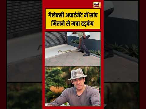 Salman Khan’s Galaxy Apartment: गैलेक्सी अपार्टमेंट में सांप मिलने से मचा हड़कंप #viralnews #viral thumbnail
