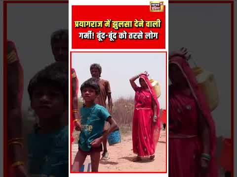 प्रयागराज में झुलसा देने वाली गर्मी! बूंद बूंद को तरसे लोग | Prayagraj Heatwave | #shorts thumbnail