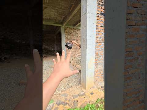 kenapa teko itu gerak gerak sendiri #trendingshorts thumbnail