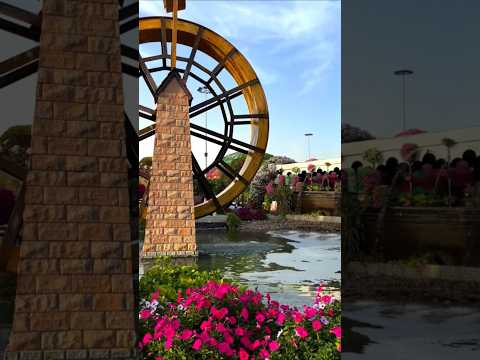 ?UAE,Dubai??  #travel#adventure#dubaimiraclegarden#shorts thumbnail