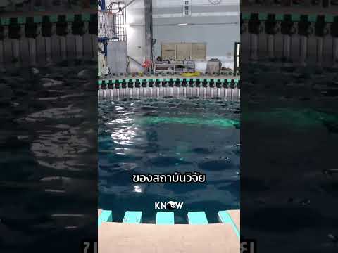 เครื่องสร้างคลื่น ที่ควบคุมน้ำได้ thumbnail