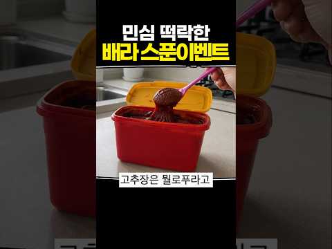 민심 떡락한 배라 스푼 이벤트 thumbnail