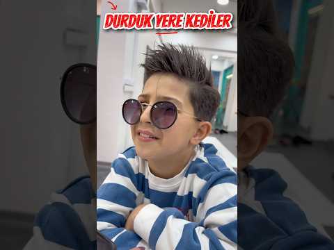Durduk yere kediler thumbnail