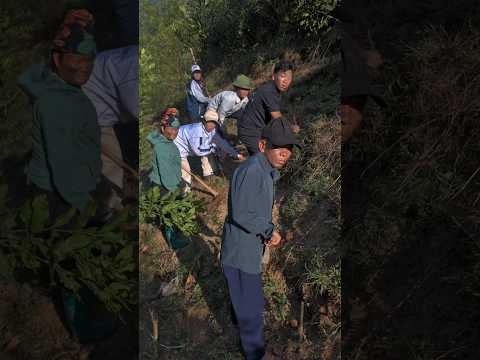 ĐEN | NHÀ P.O.I 302 thumbnail