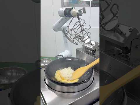 Fried Rice Robot collection 🤖🍳 thumbnail