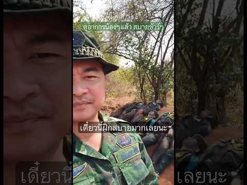 ผมดูๆแล้ว ผมเชื่อว่าฝึกสบายจริงครับดูน้องๆท้ายคลิปก็รู้ #ทหารตลก #รดฮา thumbnail