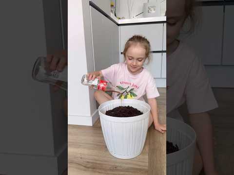 What did she come up with?😳 filaretiki family✨ #social thumbnail