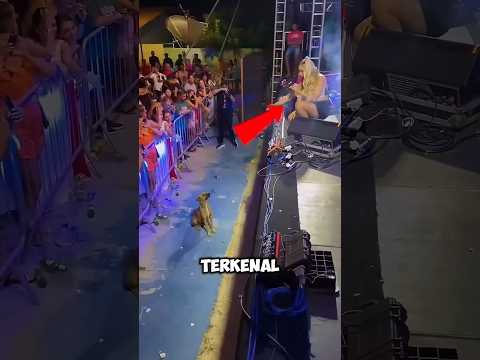 Aksi Mengejutkan Penyanyi Terkenal Saat Anjing Liar Naik ke Panggung! 😱🐶 thumbnail