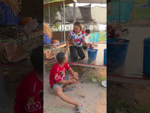 เจ้าหลบข่อยบ่ได้ดอกข่อยรู้ทันแล้ว #funny #ขึ้นหน้าฟีด thumbnail