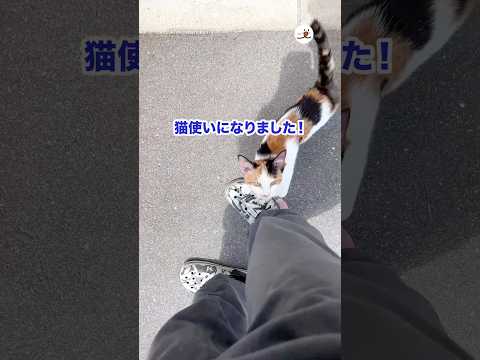 【運命の出会い】猫使いになった日｜PECO thumbnail
