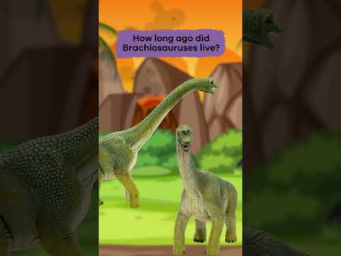 Dinos A to Z: Brachiosaurus | #shorts thumbnail