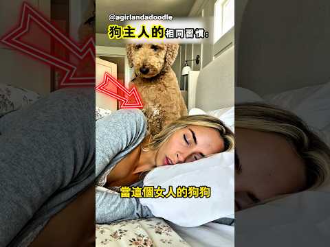 養狗後生活會發生什麼變化 thumbnail