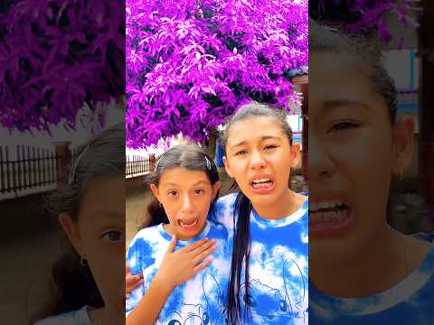 พ่อทำให้ต้นไม้กลายเป็นสีชมพู!! 😱🤣 #funny #comedy #drama #humor #memes #youtube #shorts #minmayang thumbnail