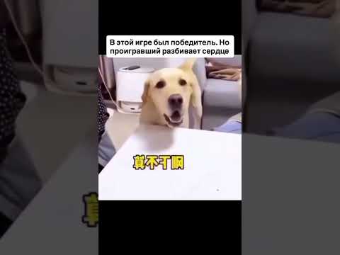 Читай описание ⬇️ thumbnail
