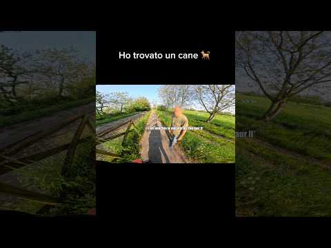 Ho trovato un cane non tanto bello #viral  #ktm #moto thumbnail
