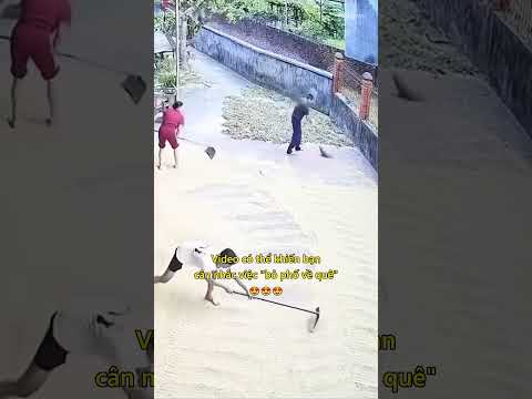 Video có thể khiến bạn cân nhắc việc "bỏ phố về quê" 😍 #hangxom #viectot #tinhcam #shorts thumbnail