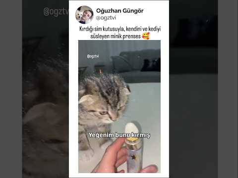 Kırdığı sim kutusuyla kendini ve kediyi süsleyen minik prenses thumbnail