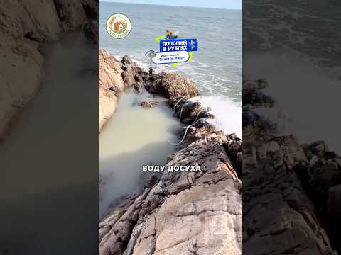 Рыбалка или браконьерство? #животные #сельскоехозяйство #купитьтехнику thumbnail